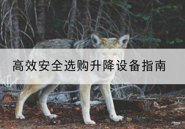河西区升降货梯厂家推荐-*安全选购升降设备指南