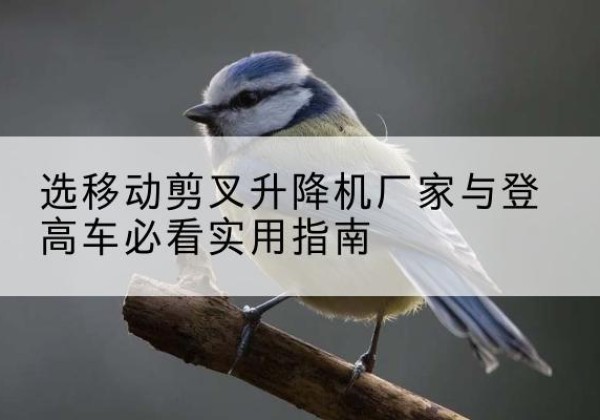 河西区电动升降机厂家-选移动剪叉升降机厂家与登高车必看实用指南